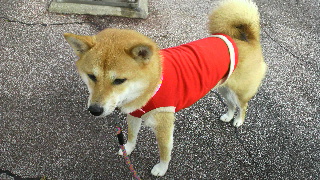 2011110705520000.jpg