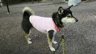 2011110705520001.jpg