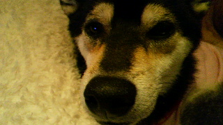 2011110819160003.jpg