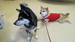 2011111008080000.jpg