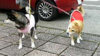 2011111106010000.jpg