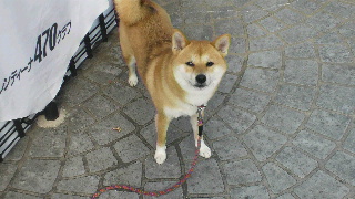 2011111322190001.jpg