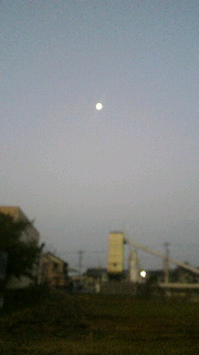 2011111506420000.jpg