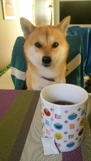 2011111605240000.jpg