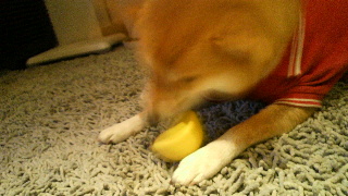 2011111605270000.jpg