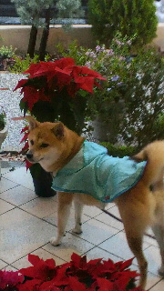 2011111908050000.jpg