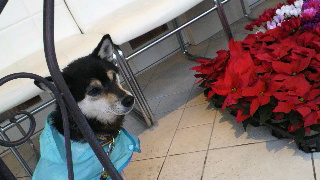 2011111908060000.jpg
