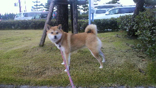 2011112019430000.jpg