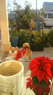 2011112608190000.jpg
