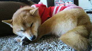 2011112922070000.jpg
