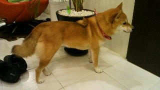 2011120317000000.jpg
