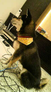 2011120317000001.jpg
