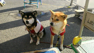 2011120410070001.jpg