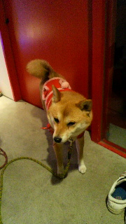 2011120518060000.jpg
