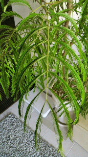 2011120718530000.jpg