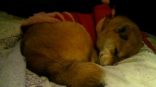 2011120718530002.jpg