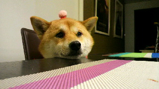 2011120907110000.jpg