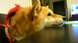2011120907110001.jpg