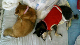 2011121204370000.jpg
