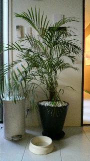 2011121407310000.jpg