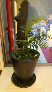 2011121407310001.jpg