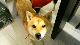2011121407310002.jpg