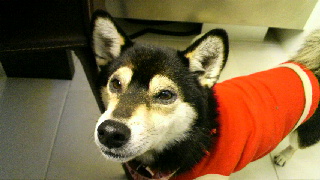 2011121407310003.jpg