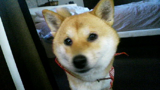 2011121507580000.jpg