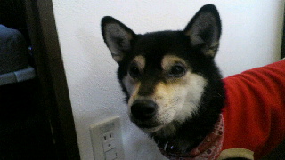 2011121507580001.jpg