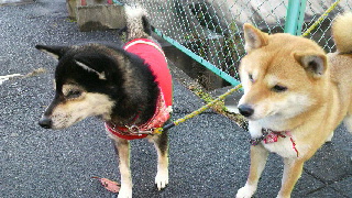 2011121715130002.jpg