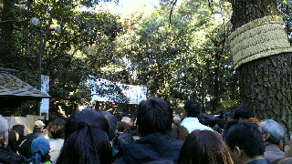 2012010214310000.jpg