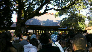 2012010215000000.jpg
