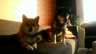 2012010310320001.jpg