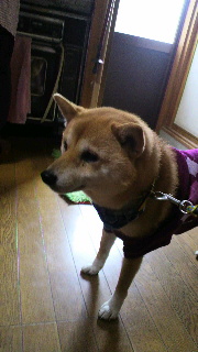 2012010407500001.jpg