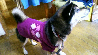 2012010407500002.jpg