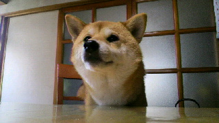 2012010416420000.jpg