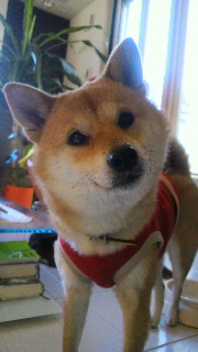 2012010416420001.jpg