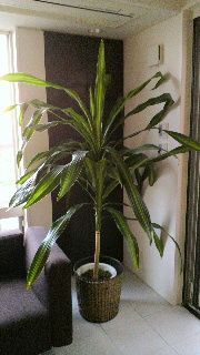2012010507340000.jpg