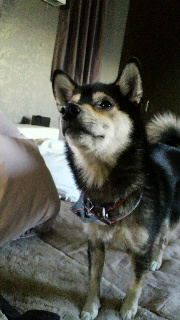 2012010507550000.jpg