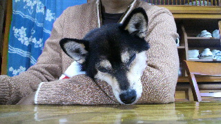 2012010507550001.jpg