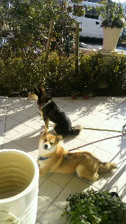 2012010519290001.jpg