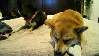 2012010519300000.jpg