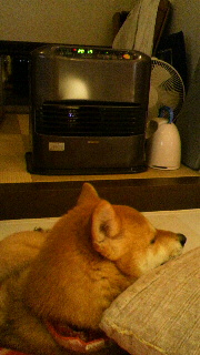 2012010618130000.jpg