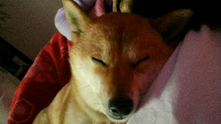 2012010618140000.jpg