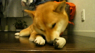 2012010718000000.jpg