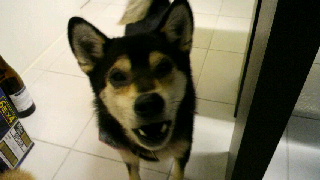 2012010718000001.jpg