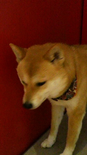 2012010807590000.jpg