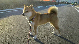 2012010808140000.jpg