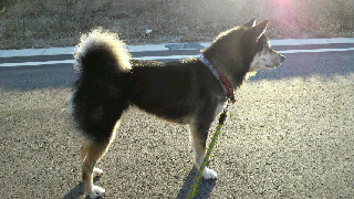 2012010808150000.jpg