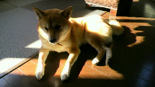 2012010819540000.jpg